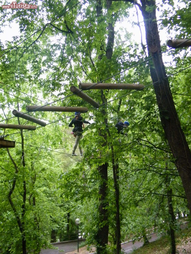 Immagine Ragazzi si cimentano con i percorsi di albering nel parco avventura Majagreen a Caramanico Terme (Abruzzo). - ©  www.majagreen.it