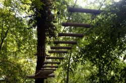 Un tratto del percorso tra gli alberi del parco avventura Majagreen a Caramanico Terme (Pescara). - ©  www.majagreen.it