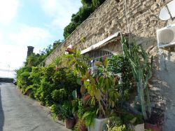 Una casa adorna di piante sulla strada delle Rampe di Pizzofalcone a Napoli - © Tripiz - Wikipedia
