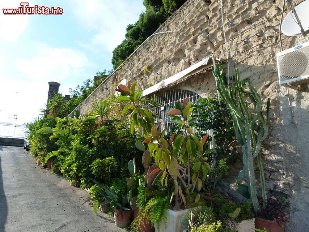 Immagine Una casa adorna di piante sulla strada delle Rampe di Pizzofalcone a Napoli - © Tripiz - Wikipedia