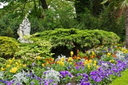 Fiori colorati al Parco Monceau di Parigi, Francia. Ad abbellire questo parco romantico ci sono alberi di ogni specie, piccoli arbusti e composizioni floreali.



