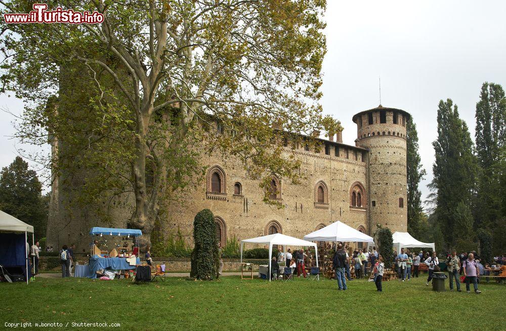 Immagine Il Festival dei Gufi l'evento si tiene nel parco che circonda il Castello di Grazzano Visconti - © m.bonotto / Shutterstock.com