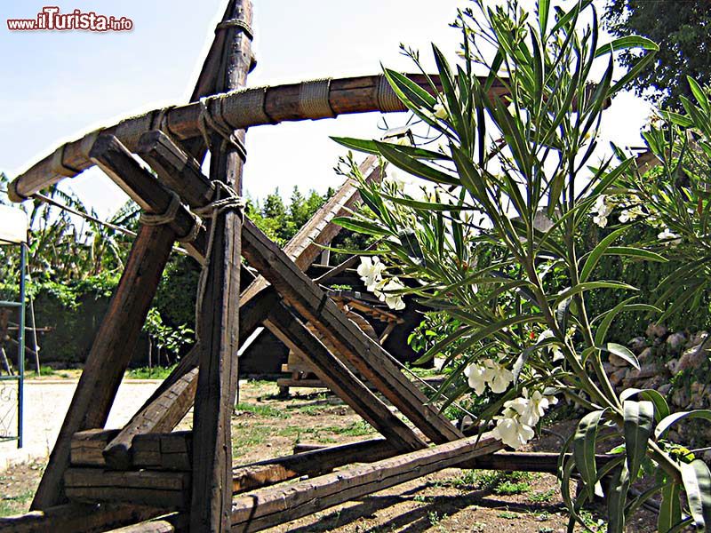 Immagine Una Catapulta tensionale in mostra al Tecnoparco di Archimede