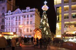 Albero di Natale in Piazza San Venceslao a Praga, ...