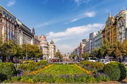 Aiuola fiorita in Piazza San Venceslao a Praga, ...