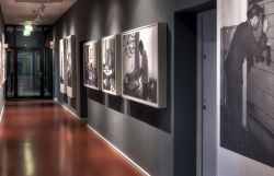 Fotografie esposte nella galleria del Museo della Stasi, nell'ex Berlino Est (Germania). - © www.stasimuseum.de