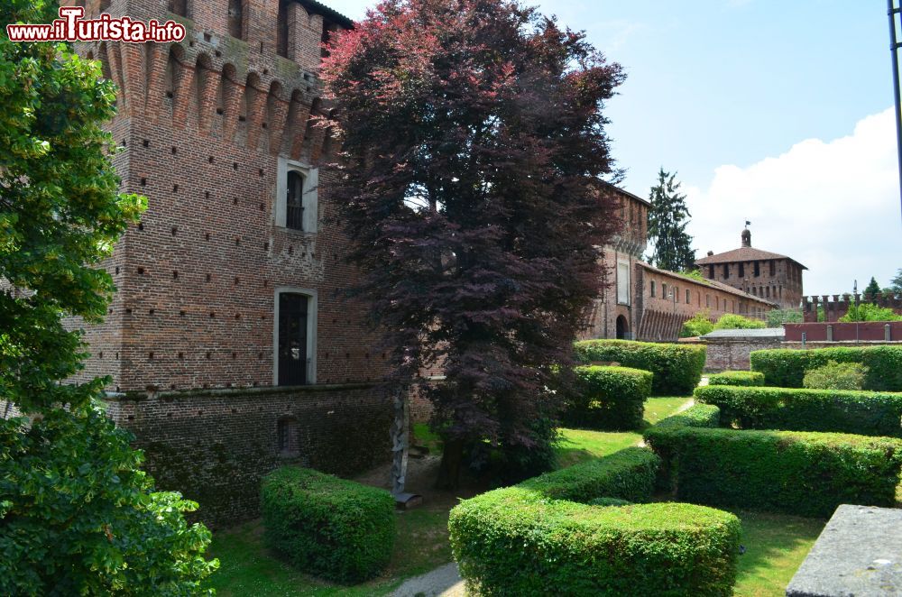 Immagine Giardino esterno Castello Sforzesco a Galliate, Piemonte