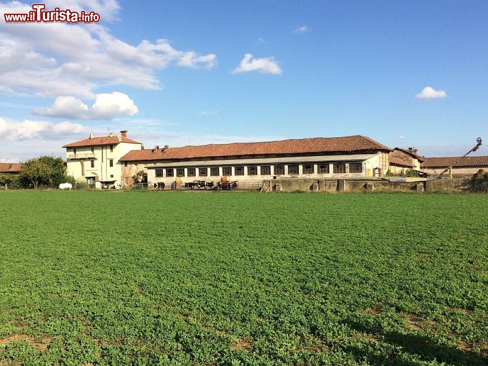 Immagine La Cascina Parpaglia all'interno del Parco di Stupinigi è la più antica tra le sei presenti nel territorio - foto ©  www.parchireali.gov.it