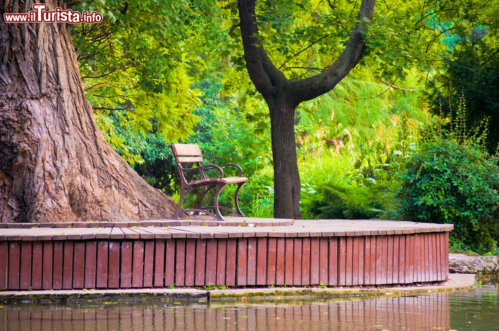 Immagine Il giardino giapponese è un'oasi di pace sull'Isola Margherita, lungo il corso del Danubio a Budapest.