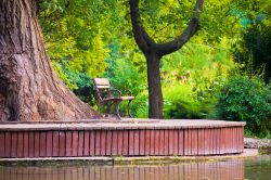 Il giardino giapponese è un'oasi di pace sull'Isola Margherita, lungo il corso del Danubio a Budapest.