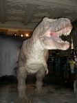 Natural History Museum: sezione Dinosauri