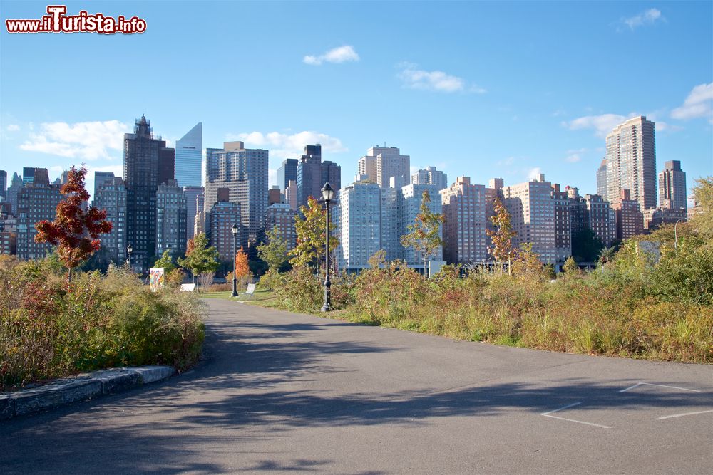 Immagine La skyline di Manhattan vista da Roosevelt Island, un'isola di circa 3,5 km di lunghezza e 250 metri di larghezza a New York City.