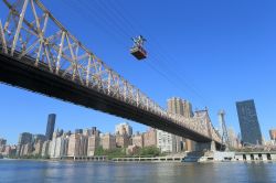 L'Ed Koch Queensboro Bridge e la funivia che lo affianca visti da Roosevelt Island. Sulla sponda opposta del fiume c'è Manhattan (New York City) - foto © EarthScape ImageGraphy ...