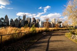 Il Roosevelt Four Freedoms Park in autunno. Siamo su Roosevelt Island, a New York City.