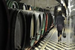 Le Antiche Cantine dell'Arcivescovado di Kroměř ...