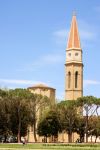 Il campanile della Cattedrale dei SS.Pietro e ...