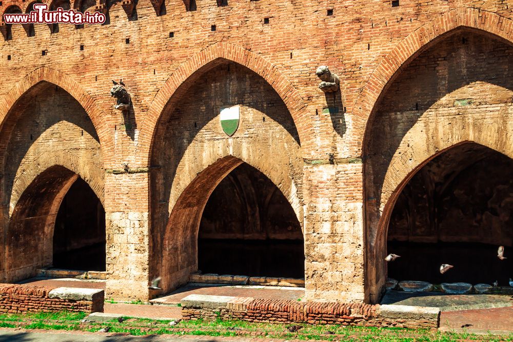 Immagine Fontebranda è una fontana medievale di Siena. Si presenta con tre arcate gotiche ogivali, sopra le quali si trovano merli e archi ciechi.