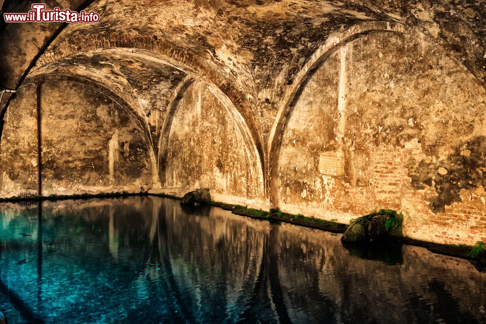 Immagine La vasca di Fontebranda. Le condutture della fontana si sviluppano nel sottosuolo tra i cunicoli della città di Siena.