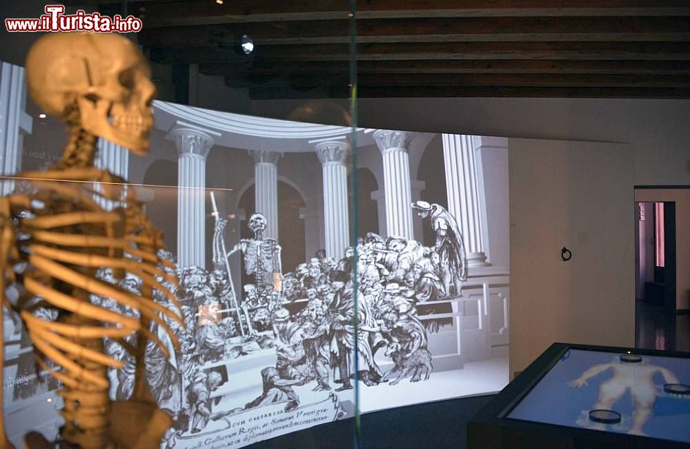 Immagine Padova: il Museo di Storia della Medicina (MUSME) mette il corpo umano al centro di un percorso storico e scientifico - foto©  www.musme.it/
