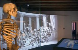 Padova: il Museo di Storia della Medicina (MUSME) mette il corpo umano al centro di un percorso storico e scientifico - foto©  www.musme.it/