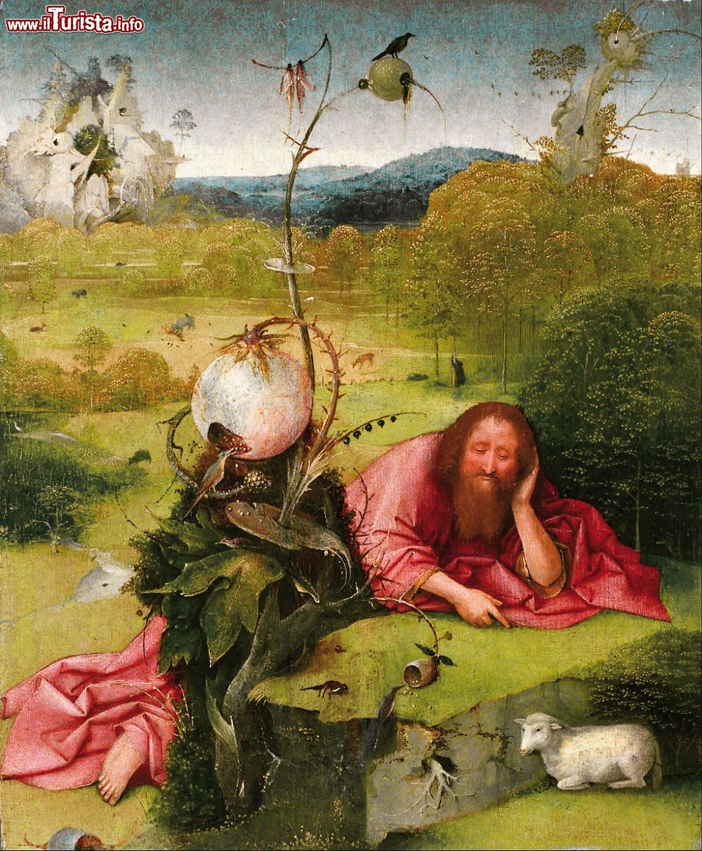 Immagine "San Giovanni Battista in meditazione", opera di Hieronymus Bosch visibile nel Museo Lázaro Galdiano a Madrid.