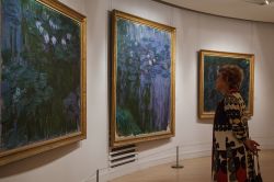 I Quadri di Monet esposti al museo Marmottan di Parigi - © Ministério da Cultura - CC BY 2.0, Wikipedia