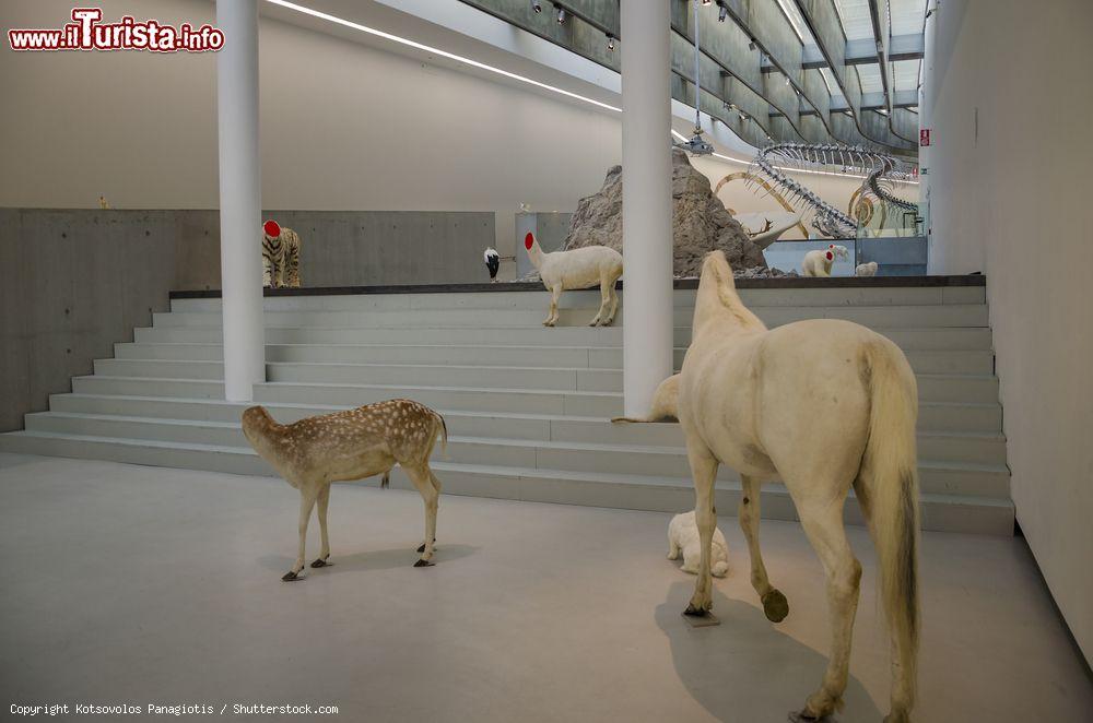 Immagine Opere esposte nel MAXXI - Museo nazionale delle arti del XXI secolo di Roma - foto © Kotsovolos Panagiotis / Shutterstock.com