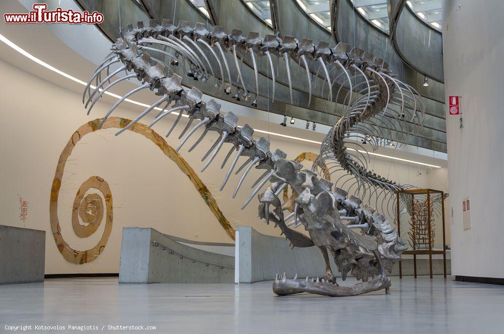 Immagine Roma: all'interno del MAXXI - Museo nazionale delle arti del XXI secolo ci sono quattro diversi dipartimenti: MAXXI Arte, MAXXI Architettura, MAXXI Ricerca, educazione, formazione e MAXXI Sviluppo - © Kotsovolos Panagiotis / Shutterstock.com