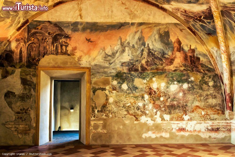 Immagine Affresco in una sala del Castello di Torrechiara, provincia di Parma - © iryna1 / Shutterstock.com