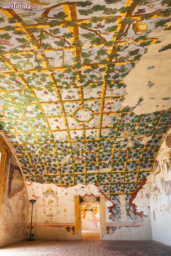 Immagine La sala del Pergolato nel Castello di Torrechiara in Emilia - © Olgysha / Shutterstock.com