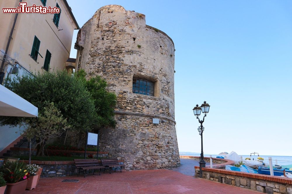 Immagine Il Torrione della Coscia di Alassio fu costruito nel XVI secolo in pietra e mattoni a difesa della città.