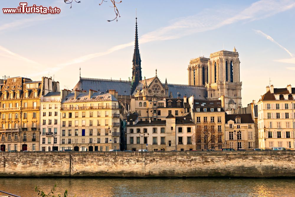 Immagine I palazzi dell'Île de la Cité affacciati sulla Senna e, alle loro spalle, la sagoma della Cattedrale di Notre-Dame di Parigi.