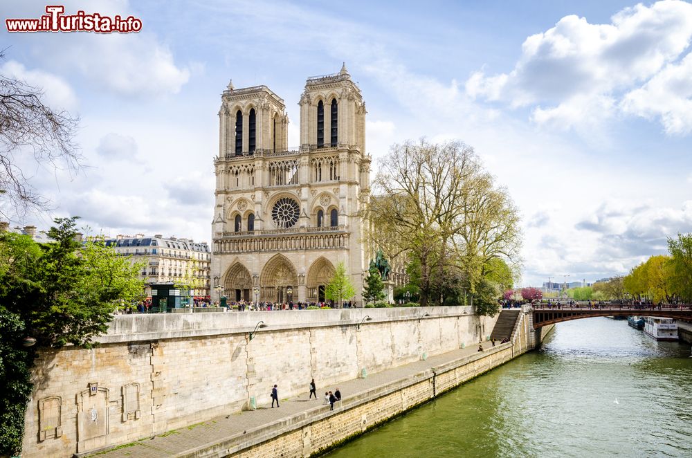 Immagine La Cattedrale di Notre-Dame de Paris, sull'Île de la Cité, è uno dei simboli per eccellenza di Parigi.