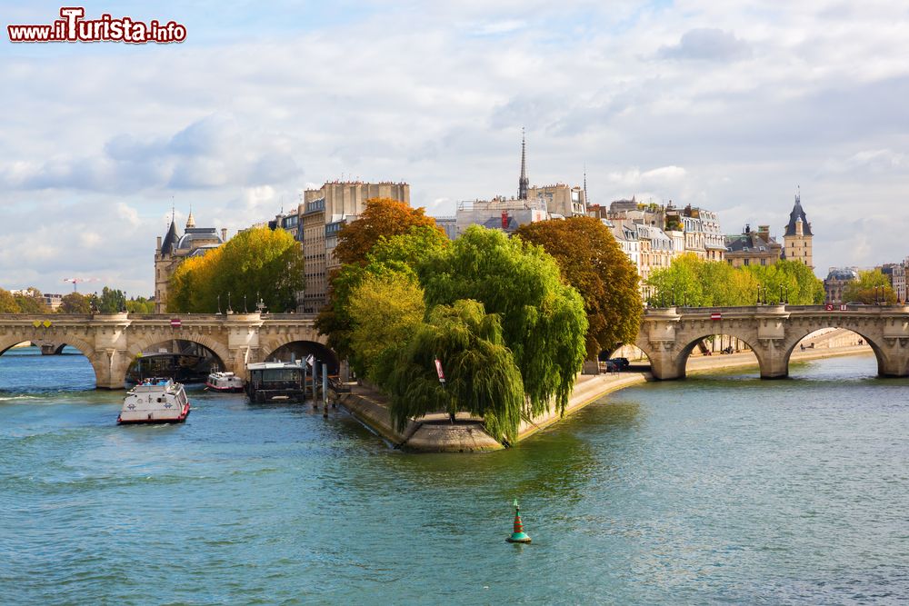 Immagine Parigi, Francia: la Senna, l'Île de la Cité e il Pont Neuf visti dal Pont des Arts.