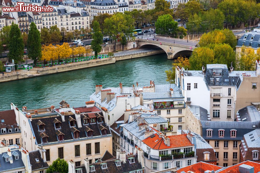 Immagine Parigi, Francia: vista aerea della Senna e di una parte dell'Île de la Cité.