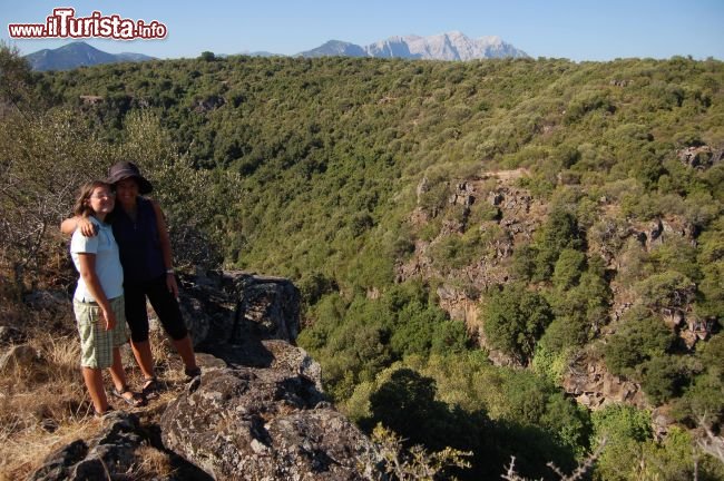 Immagine Il canyon del Cedrino