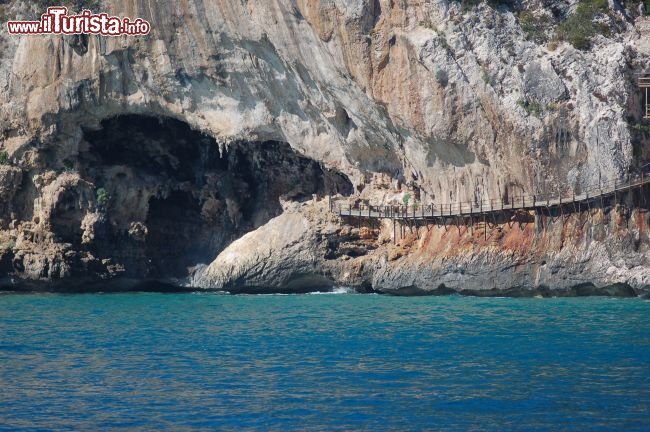 Immagine Grotta del Bue Marino