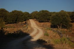 La strada per l'agriturismo Biriddo