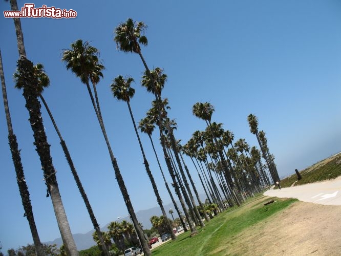 SANTA BARBARA