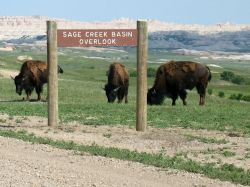 CUSTER STATE N.P. - SOUTH DAKOTA