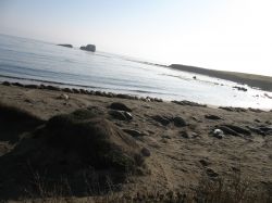 US 101 