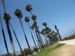SANTA BARBARA
