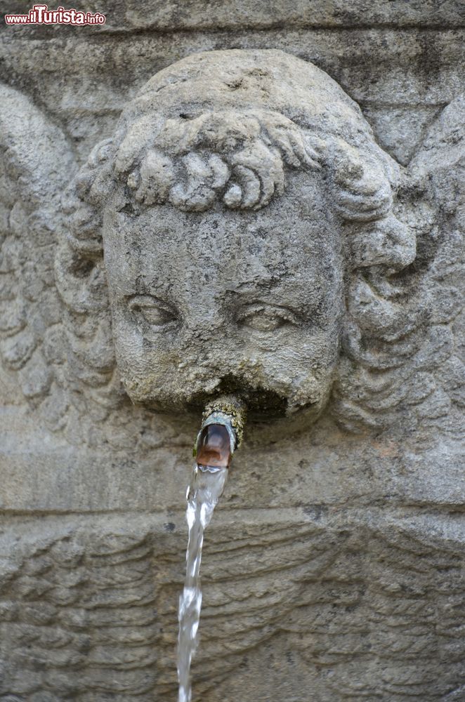 Immagine Dettaglio della fontana situata sul retro della Cattedrale di San Lorenzo  a Viterbo, nel Lazio.