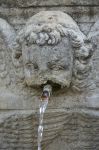 Dettaglio della fontana situata sul retro della Cattedrale di San Lorenzo  a Viterbo, nel Lazio.
