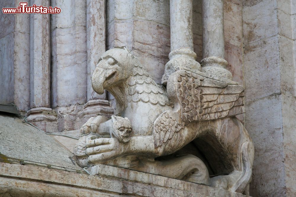 Immagine Un grifone del loggiato della Cattedrale di San Vigilio, Piazza Duomo a Trento