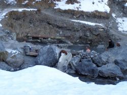 Le Pozze di Leonardo, le terme libere di Bormio ...