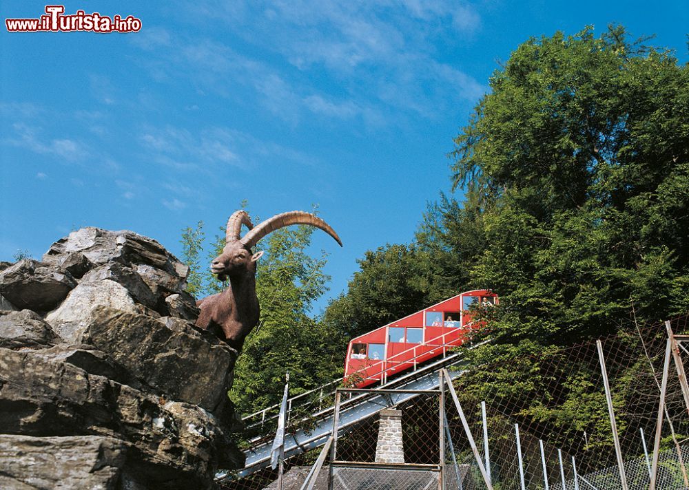 Immagine La spettacolare funicolare che sale all'Harder Kulm di Interlake, Svizzera