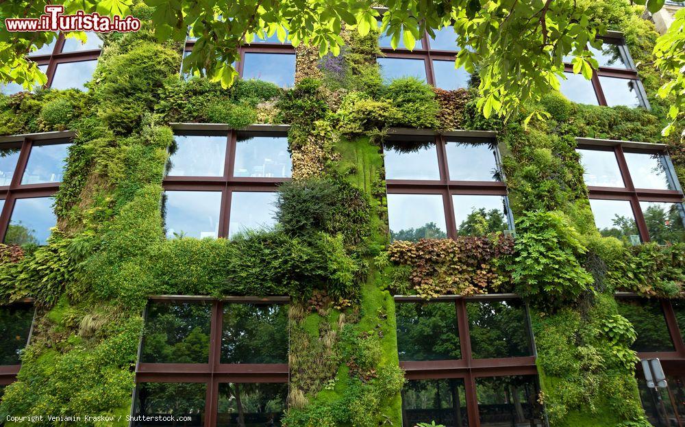 Immagine La facciata del Museo di Quai Branly ricoperta da vegetazione a Parigi, Francia. Il muro verde si estende per circa 800 metri quadrati ed è stato progettato dall'architetto Jean Nouvel  - © Veniamin Kraskov / Shutterstock.com