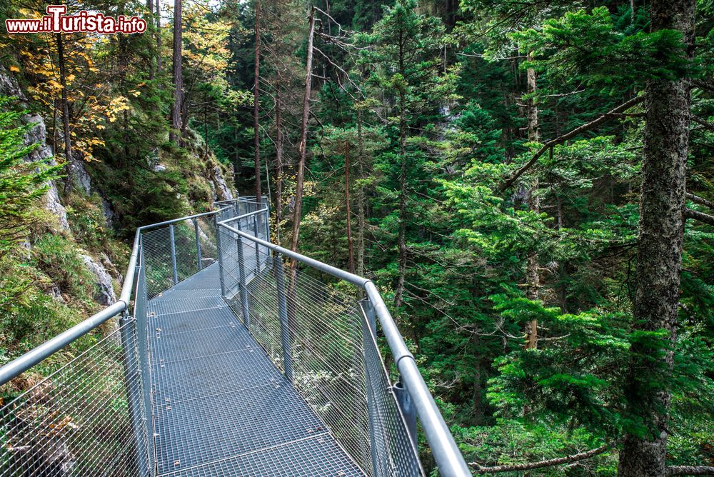 Immagine Il percorso tra boschi e natura nella Gola degli Spiriti di Leutasch