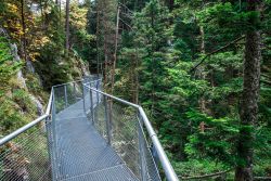 Il percorso tra boschi e natura nella Gola degli Spiriti di Leutasch